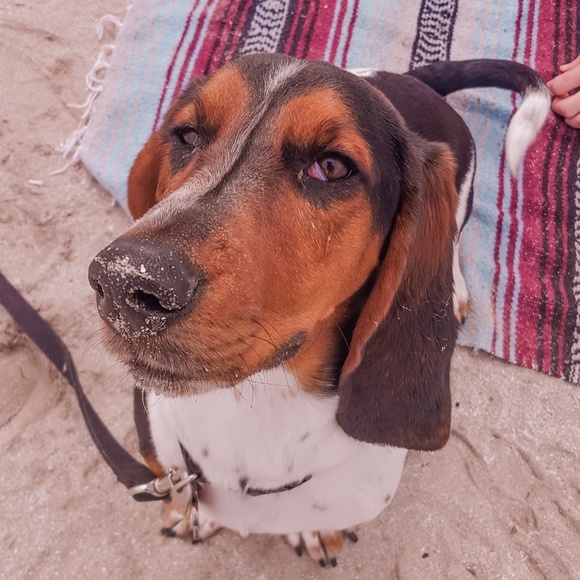 Leave a comment! - Picture 2 of 2